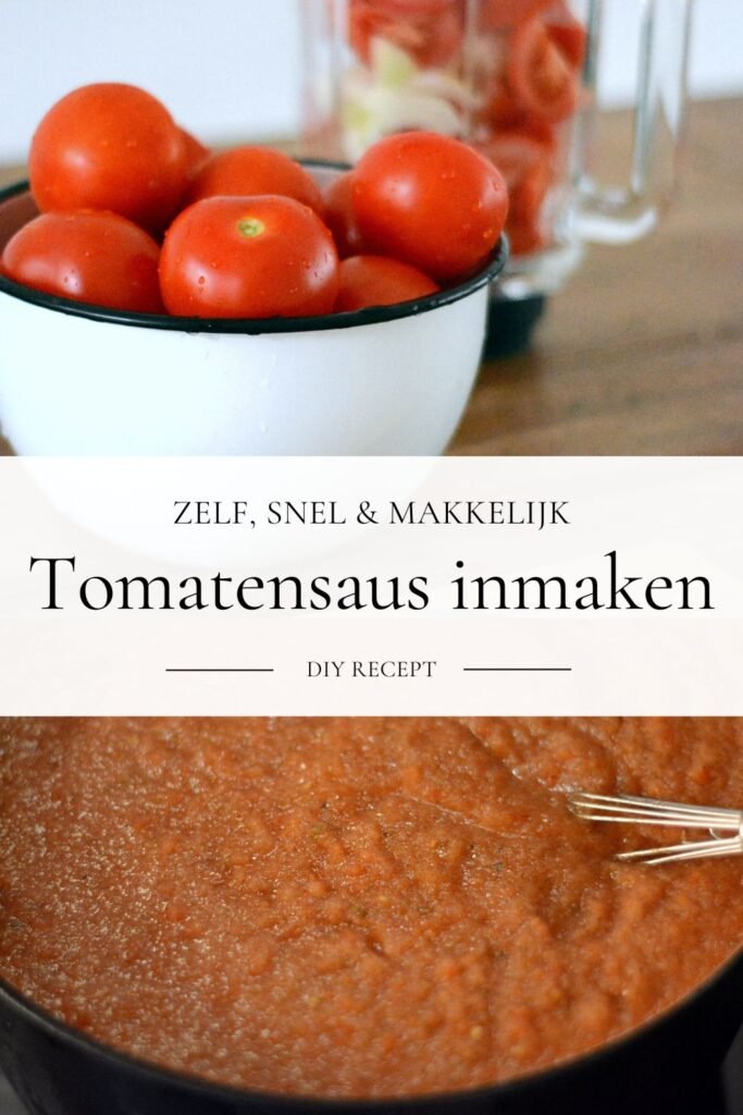 Vers geplukte tomaten liggen op een schaal naast een blender klaar om tomatensaus mee te gaan maken.