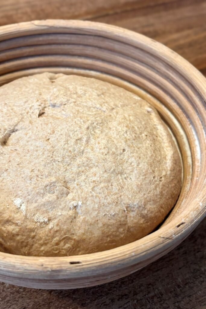 Zuurdesem deeg voor volkoren brood ligt in rijsmandje klaar voor de tweede rijs.
