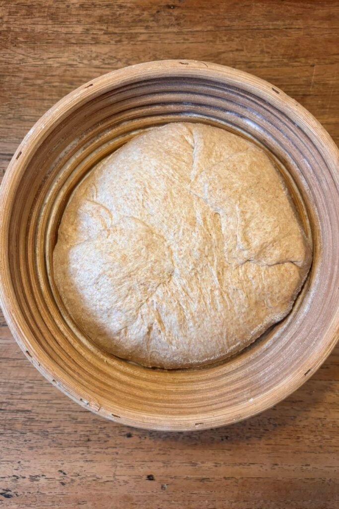 Zuurdesem deeg voor volkoren brood ligt in rijsmandje klaar voor de tweede rijs in de koelkast.