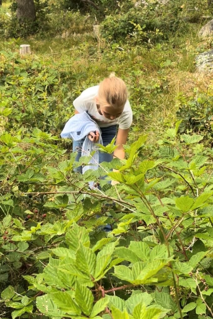 Meisje gaat bramen plukken in een veld vol bramenstruiken