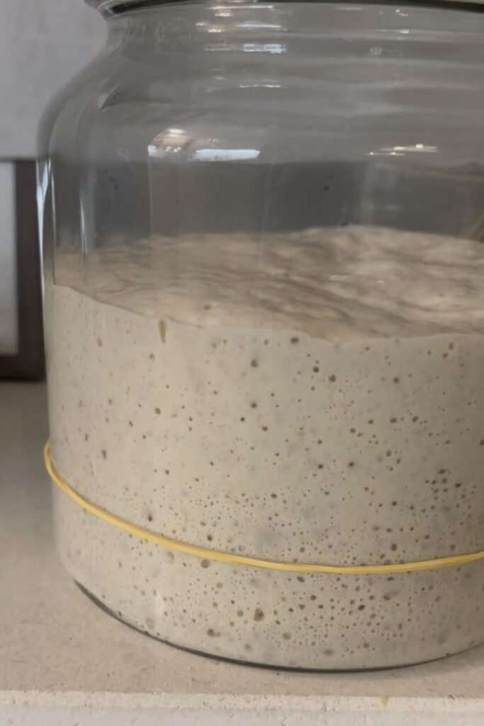 Zuurdesem starter is klaar om gebruikt te worden voor het deeg. In de glazen pot zie je dat de bovenkant van de starter afgevlakt is