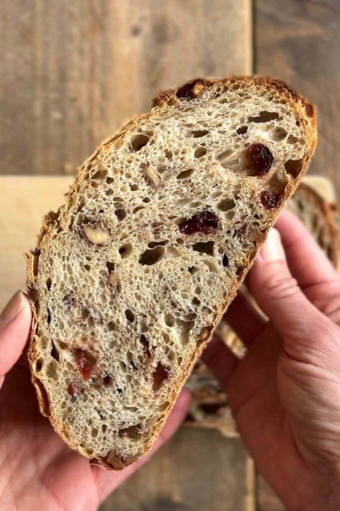 Vrouw heeft versgebakken zuurdesembrood met cranberries en walnoten vast en laat de binnenkant zien.